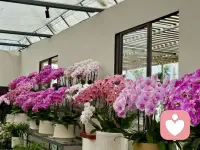 鹏北海，凤朝阳，又携书剑路茫茫。