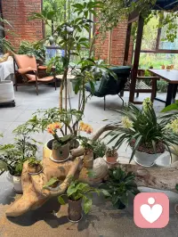 鹏北海，凤朝阳，又携书剑路茫茫。