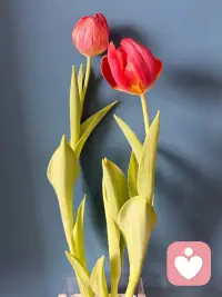 可以看到别人的光芒，但也要信仰自己的力量。配图