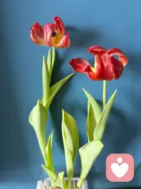 可以看到别人的光芒，但也要信仰自己的力量。配图