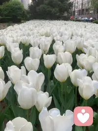 发现生活中的美好…配图