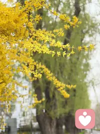 人的缘分真的太浅了 所以我选择记住你最好的一面配图