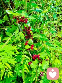 被阳光沐浴过的味道🌞