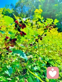 被阳光沐浴过的味道🌞