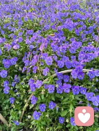 风和日丽的一天