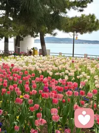 可惜我是个念旧的人，陪我走过任何一段路的人，我都记得。