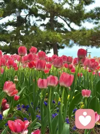 可惜我是个念旧的人，陪我走过任何一段路的人，我都记得。