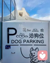 人生起起伏伏，总有快乐的时光被治愈[跳跳][跳跳]