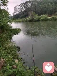 现在爱看下午的太阳，开始考虑还能活多长，有些废话还是要和你讲，讲完自己扛。