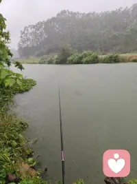 现在爱看下午的太阳，开始考虑还能活多长，有些废话还是要和你讲，讲完自己扛。