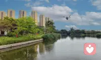 张三问天，张三捂脸，一座荒唐殿，一个小房间，人是人，仙是仙，仙想饼干，人想颠。配图