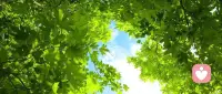 人民日报：

“人这辈子千万不要马虎的两件事，
一是找对爱人，二是找对事业“

因为太阳升起时要投身事业，
太阳落山时要与爱人相拥。