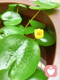 人民日报：

“人这辈子千万不要马虎的两件事，
一是找对爱人，二是找对事业“

因为太阳升起时要投身事业，
太阳落山时要与爱人相拥。