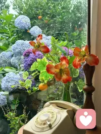 不甘于接受命运的安排，就要敢于去安排自己的命运。配图