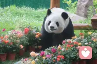 云南的阿诗玛映霞光
内蒙的其其格牧歌扬
山东的桂兰心坦荡
福建阿妹温柔乡
湖南湘女情意长
湖北幺妹俏模样
陕西兰花花声悠扬
甘肃尕妹妹暖心房