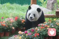 云南的阿诗玛映霞光
内蒙的其其格牧歌扬
山东的桂兰心坦荡
福建阿妹温柔乡
湖南湘女情意长
湖北幺妹俏模样
陕西兰花花声悠扬
甘肃尕妹妹暖心房
