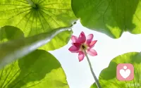 生活不需要比别人好，但一定要比以前好，希望你一直在越来越好的路上。