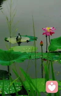 生活不需要比别人好，但一定要比以前好，希望你一直在越来越好的路上。