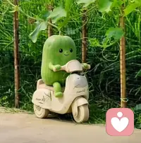 生活不需要比别人好，但一定要比以前好，希望你一直在越来越好的路上。