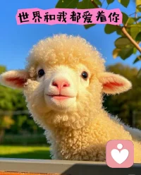 世界和我都爱着你配图