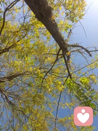 心中有光。脚下有力量，保持热爱。这一刻只属于你。