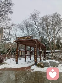 人生不能回头再走，但可以拐弯。配图