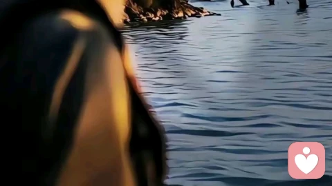 什么都不缺，但为什么就是不快乐？从心理学分析，探讨空虚感和意义缺失