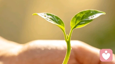 原生家庭欠你的，你要自己赢回来