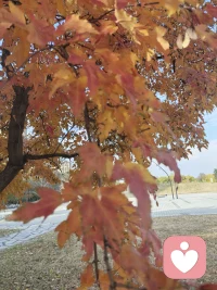 生活中的小美好，就像不经意间发现的花朵，给予你温柔的惊喜和治愈。配图