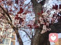 新的一天，新的一个月。你看你觉得过不去的事情，都过去了配图