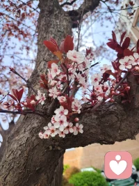 真相也许扎心，但是更让人踏实配图