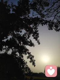 自性化常始于情绪崩溃或激烈内在冲突。人逐步放下社会面具，接纳曾被压抑的阴影与内在特质。由此，从扮演角色转向忠于自我，包容自身矛盾，最终整合对立面，融合成一个独特、完整而平静的人。