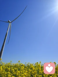 唯有热爱可低岁月漫长