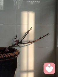 活在当下是对抗焦虑和抑郁的最有效的方法配图