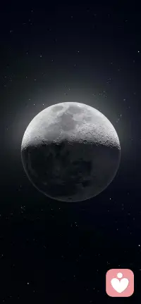 淡淡的温柔的却格外明亮