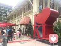 我希望你向往生命的盎然