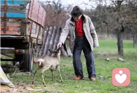 🌳今日所有与你分享☕︎配图