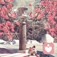 𝓕𝓵𝓸𝔀𝓮𝓻🌷⁽⁽🌸⁾⁾
   “花开正好，微风不燥，你也是” ✨配图