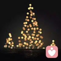 在繁花盛开里 做最精彩的自己.配图