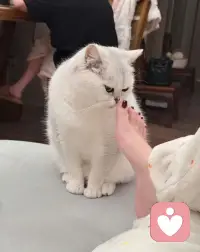 ❥ ฅʕ•̫͡•ʔฅ 
别指望有人无条件偏爱你，
你的筹码，才是你的底气。