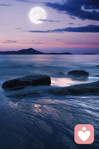 你生命的前半辈子或许属于别人，那把后半辈子还给你自己，去追随你内在的声音。配图