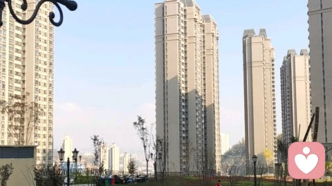 本来无一物，何处惹尘埃