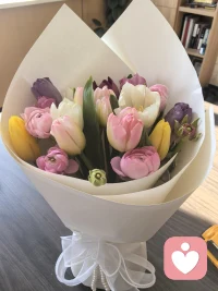 5. 把情绪收好，把热爱藏好，像郁金香一样，安静又耀眼。配图