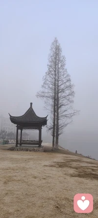 晨雾漫过水面，鸭子拨开水波，几声鸟鸣落进心里，所有疲惫都被这温柔慢慢抚平。