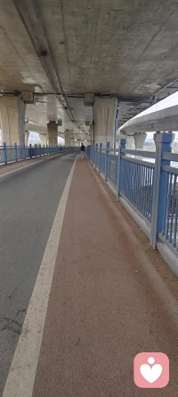 晨跑迎着风，在湖的另一端，听见有人用力嘶吼。
那一声长长的“啊——”，像是把一整年的疲惫、委屈和不顺心，全都狠狠释放。
告别所有烦恼，轻装走向2026。
愿新的一年，顺风顺水，万事顺遂，新岁，新开始。✨