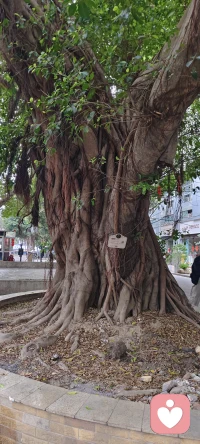 清晨六点十分的街头，我遇见一对格外动人的母子。
母亲是环卫工人，正默默清理着路边的垃圾，身旁七八岁的孩子干净整洁、眉眼清秀，却主动伸手，想要把地上的垃圾袋提起来，送进垃圾桶。
 
妈妈轻声劝阻：“太脏了，别碰。”
可孩子没有退缩，依旧坚持和妈妈一起，把那一大包垃圾稳稳送进桶里。
 
从心理学角度看，这一幕恰好印证了：
孩子的懂事，从来不是被要求出来的，而是被“看见”与“爱”滋养出来的。
 
母亲没有刻意说教，却用日复一日的勤劳与担当，给了孩子最直观的行为榜样——这是观察学习最生动的体现。孩子主动分担，不是被迫懂事，而是发自内心地心疼妈妈、认同妈妈，这是极高水平的共情能力与亲社会行为。
 
妈妈那句“太脏别碰”，藏着本能的保护与温柔；
孩子坚持帮忙，藏着纯粹的爱与责任感。
 
真正优质的家庭教育，从不是家境优渥、物质充足，
而是父母用行动立住人格，孩子用真心回应爱意。
一个愿意心疼父母、主动承担的孩子，背后一定站着一个，
用尊重、善良与无条件的爱，悄悄托举他长大的人。配图
