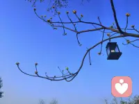 此心安处是吾乡。