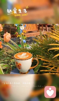 生活从来不是选择，而是热爱❤️