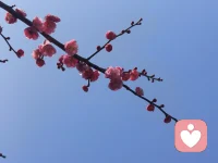 有的人走近你会成为你的光，有的人会把你所有的光都熄灭……