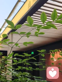 答案正在变得廉价，知道该问什么、怎么问、该相信什么，反而越来越昂贵。